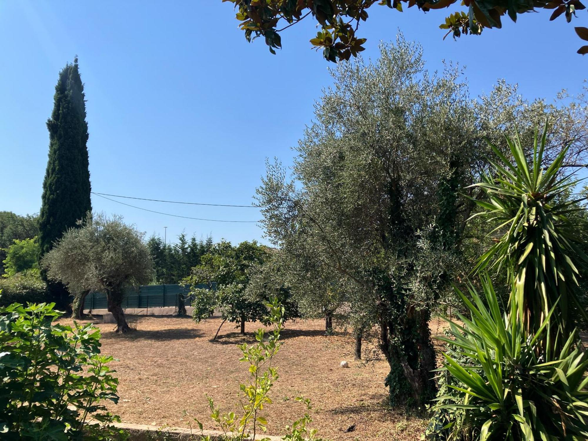 Villa Thyziri Roquefort Les Pins Exterior foto